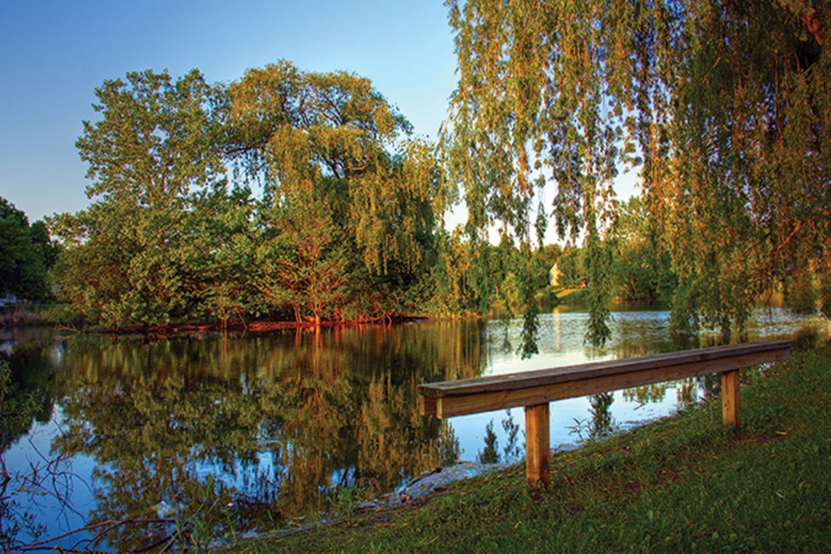 Scenic Landscapes