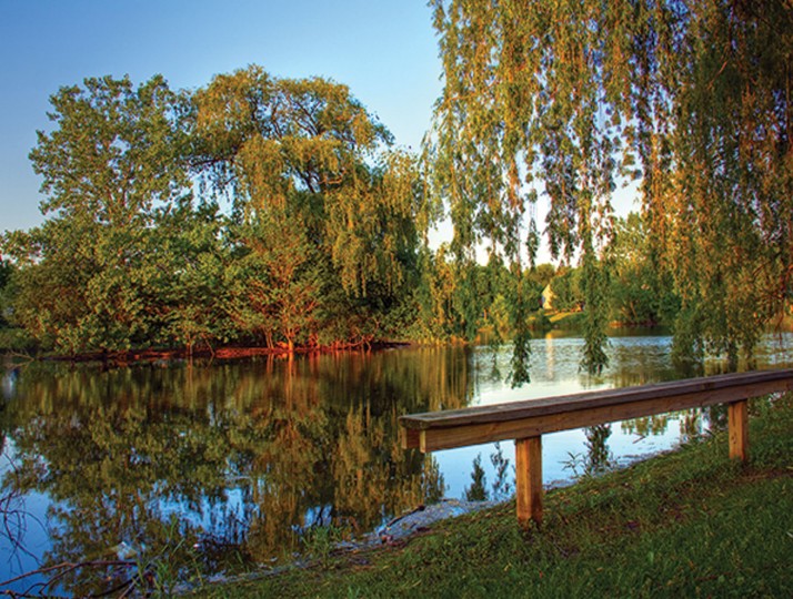 Scenic Landscapes