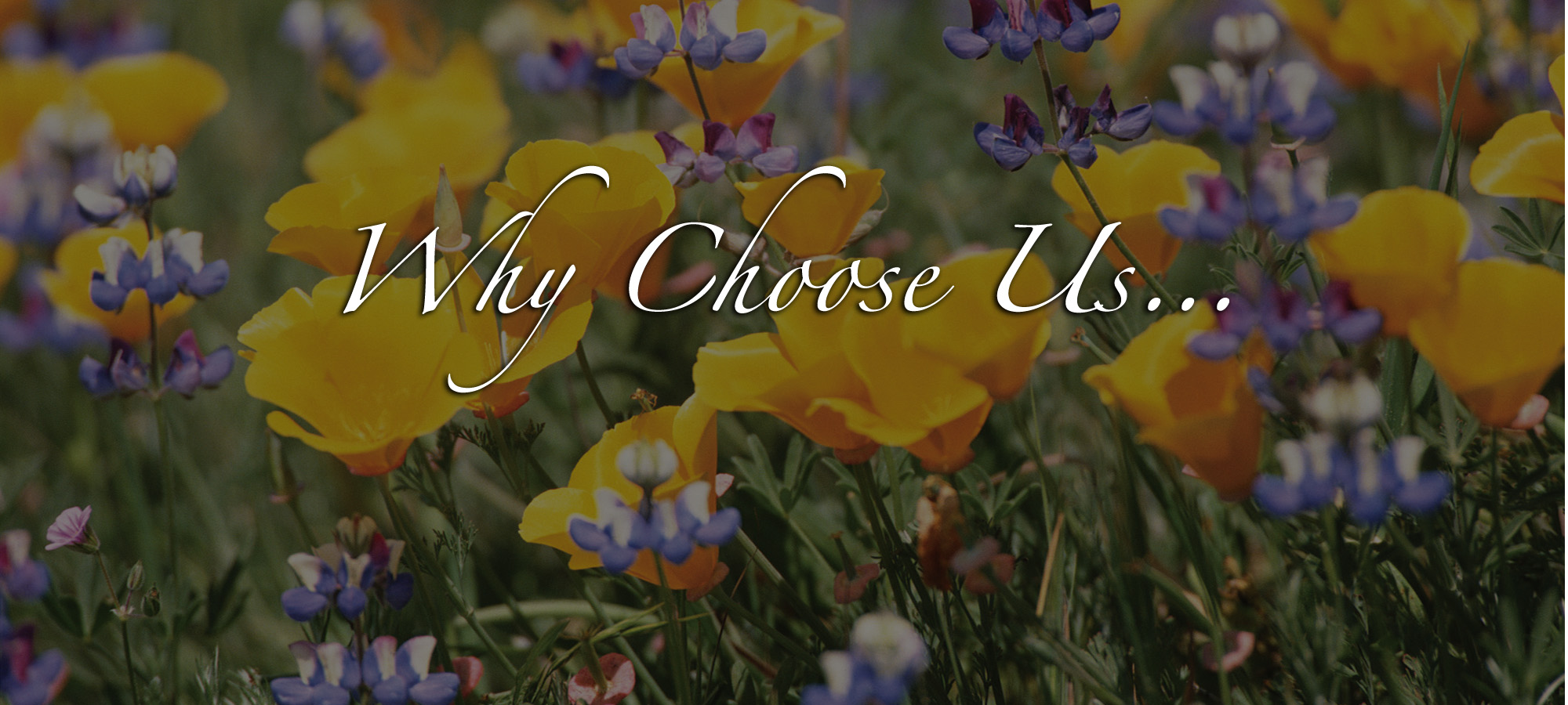 DDG_WhyChoose_Flowers